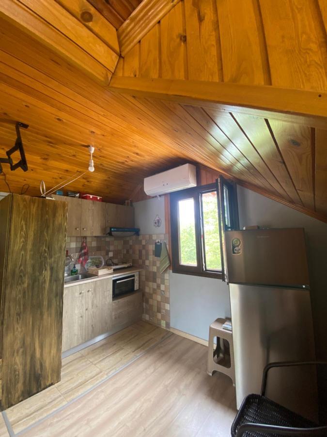 Vila Γαληνη 3 Litochoro Exteriér fotografie